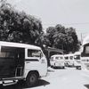 reginavigevani12