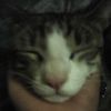jonathan.uriel.ch