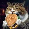 das_deal.hunter