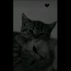 mariam.abdalla93