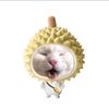knzieeea_