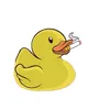 user.261110363527.e.m.s