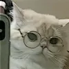 nathaniel_upinhere