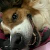 jess201277