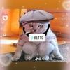 beto.rojas.ventur