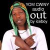 iceboy2561