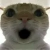 htzz__