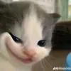 em cần ngủ !