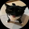 marioo6944