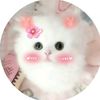 user29145010822428