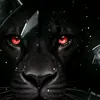 user3881080003600