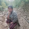 xanh.sung1995