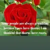 sadeersaad8