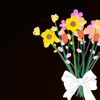 nay066148