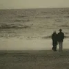 z_magomed17