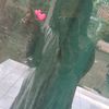 syakila.ramandhan