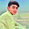 malikshehzadg