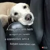 katalin.mszros6