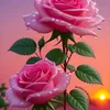 naz.gul120