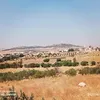 hosamjasem2