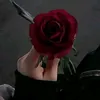 om_ab60