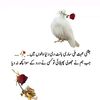 user8199360028553