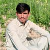 laiquekhan577