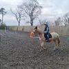 maceytheequestrian