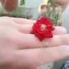 fjuddvcchh