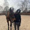 horse_girl460