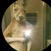 arturo123516