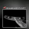 user9858687361287