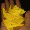 yousif.ahmed245