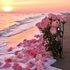من أقوال وحكم د/ إبراهيم الفقي
