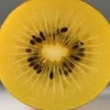 goldenkiwifruit