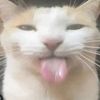 yoshy0314