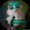 user738255514