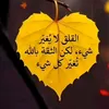 sarl.strl