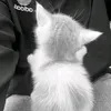 dashins_meow2013