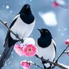 user1240361479614