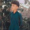 malik.malik9230