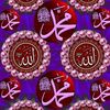 salman_islam_4