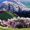 pham.ngoc.anh22