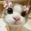 thalia_bleh0