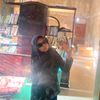 alisha_khaira23