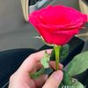 nasra.malik32