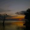fian_aja025