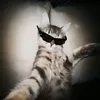 gatita._.23