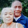 erminalestari