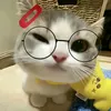 ukhtie.naribo.kusain
